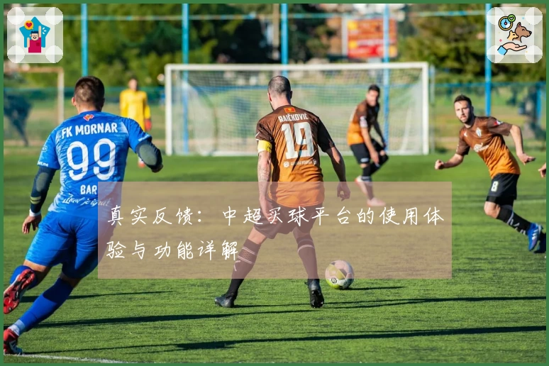 真实反馈：中超买球平台的使用体验与功能详解